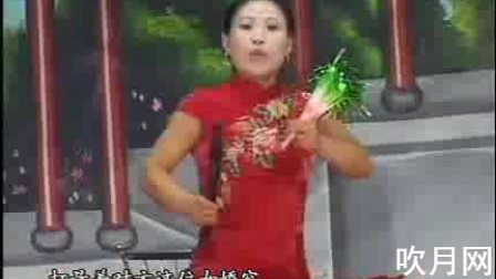 河南长篇坠子书大全