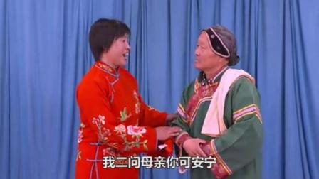 山东柳琴戏大全视频