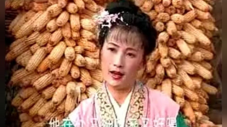 江苏徐州柳琴戏大全视频
