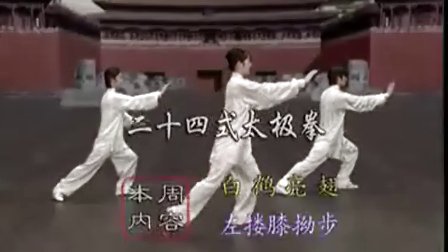 太极拳24式视频教学高清