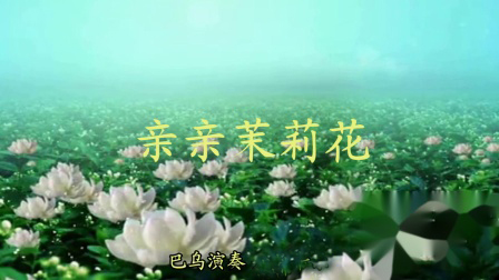 巴乌独奏名曲100首