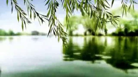 巴乌独奏曲大全